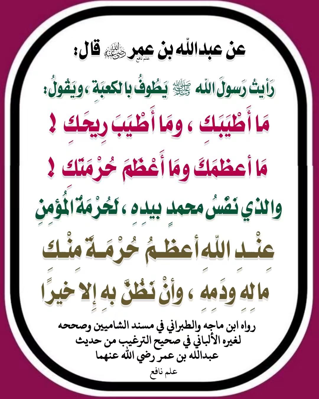 قد يعظّم الإنسان الكعبة ويحرص على حرمتها، وهذا أمر عظيم، لكن ينبغي ألا يغفل عن عِظَم حرمة المسلم عند الله؛ فلا يجوز ظلمُه أو الاعتداء على حقوقه أو انتهاك حرمته. وأشار الحديث إلى أمور عظيمة من حقوق ال…