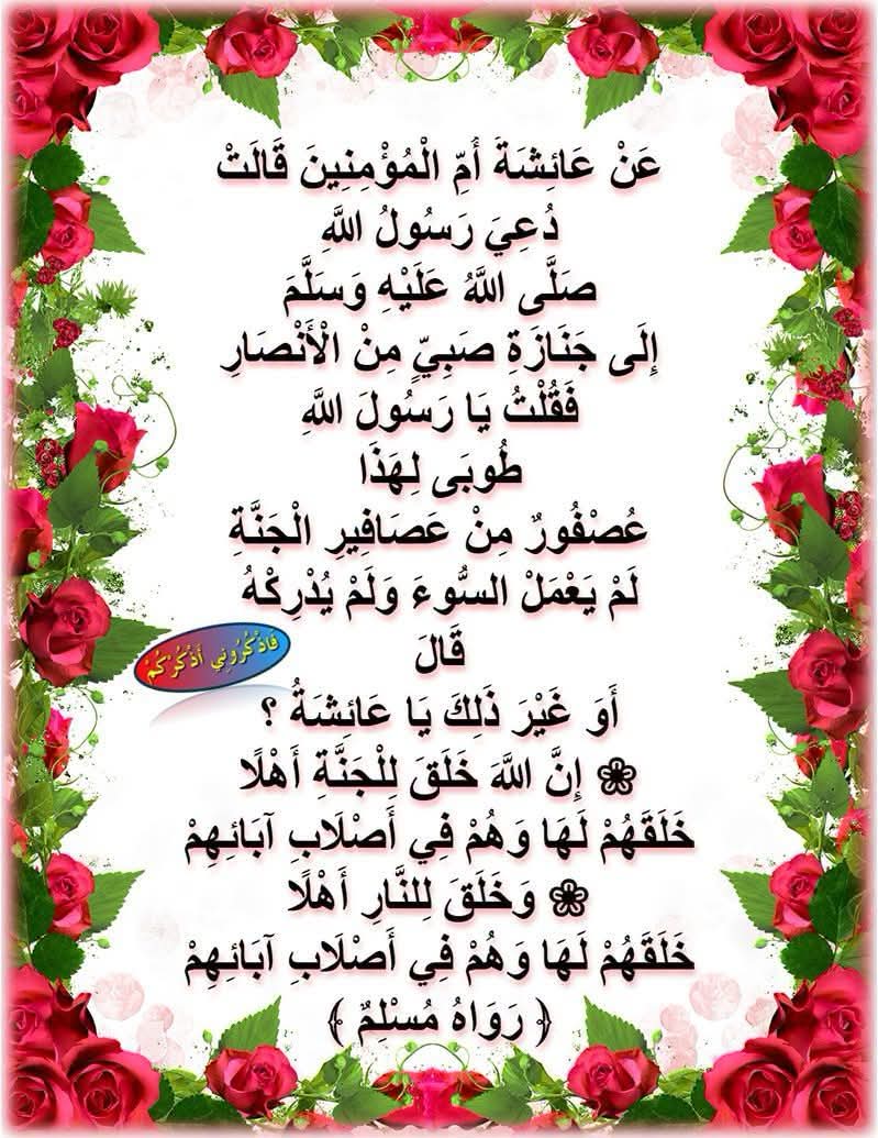 نهي النبي صلى الله عليه وسلم عن الجزم بأن معيناً من أهل الجنة أو النار إلا بنص شرعي، حتى وإن كان طفلاً لم يبلغ سن التكليف. قول عائشة رضي الله عنها: ظنت أن هذا الصبي من أهل الجنة لأنه مات صغيراً قبل أ…