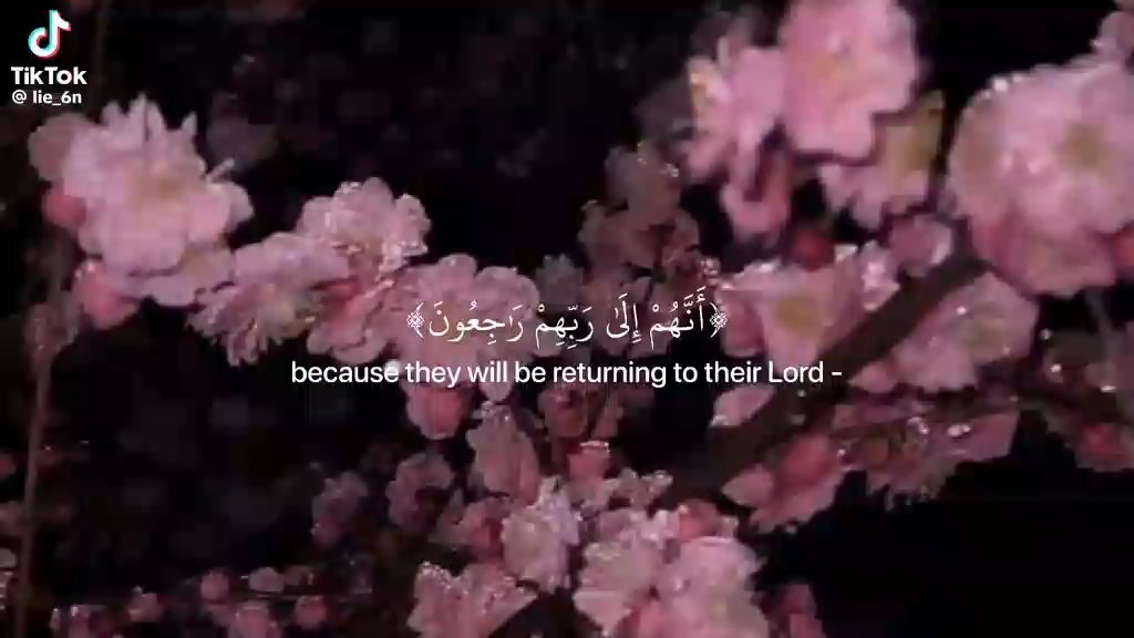 يا حي يا قيوم برحمتك استغيث اصلح لي شأني كله ولا تكلني الى نفسي طرفة عين ❣️